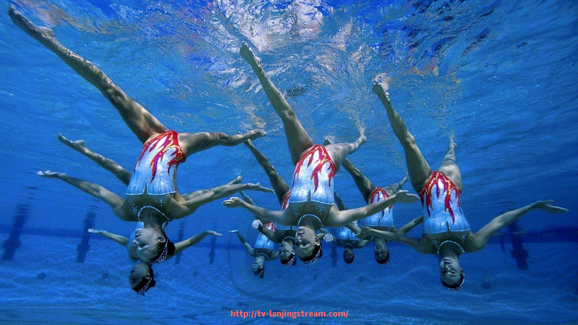 蓝鲸体育直播-宁波贵族健身器材品牌介绍及市场定位解析