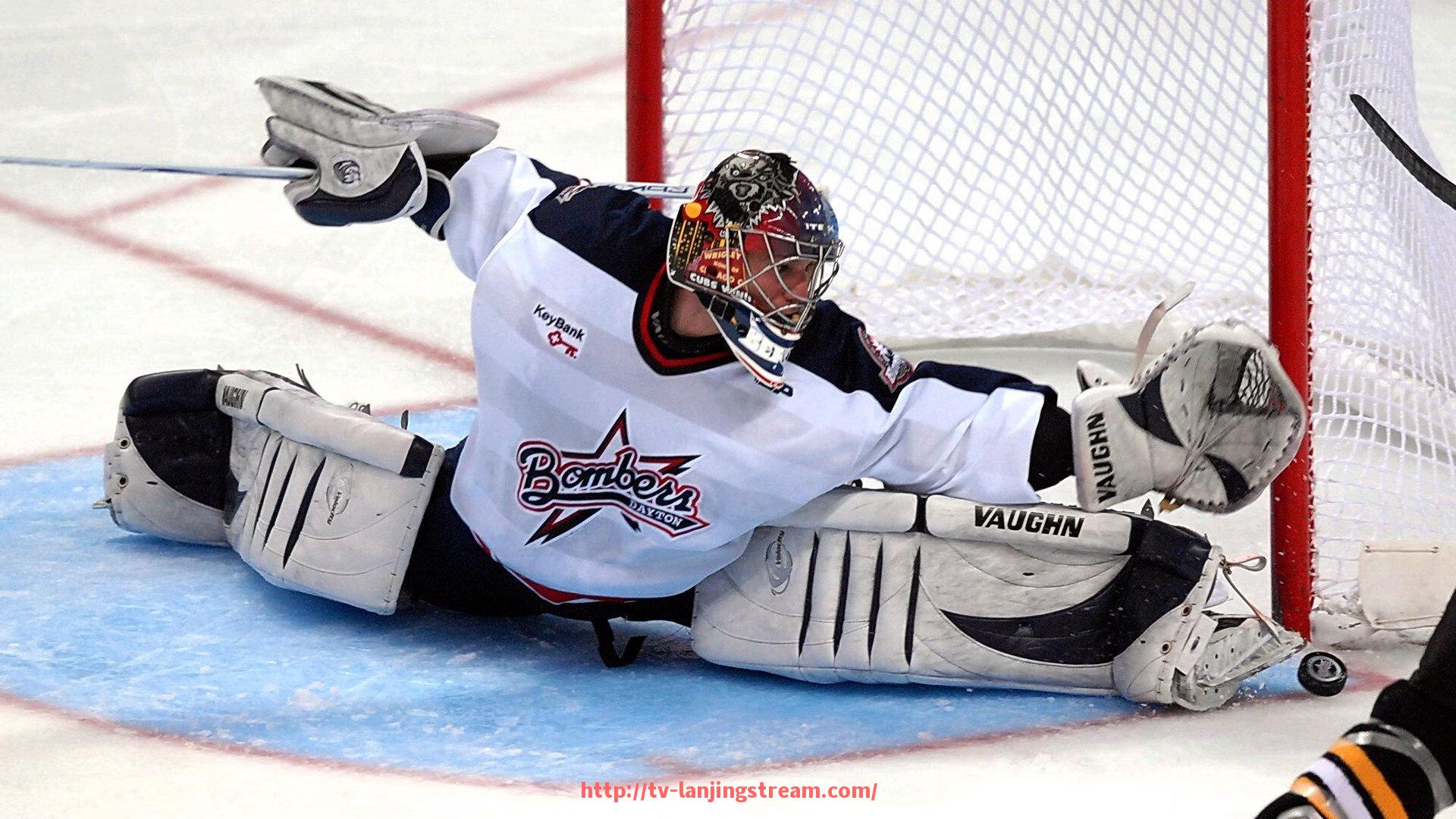 蓝鲸体育直播-宁波贵族健身器材品牌介绍及市场定位解析