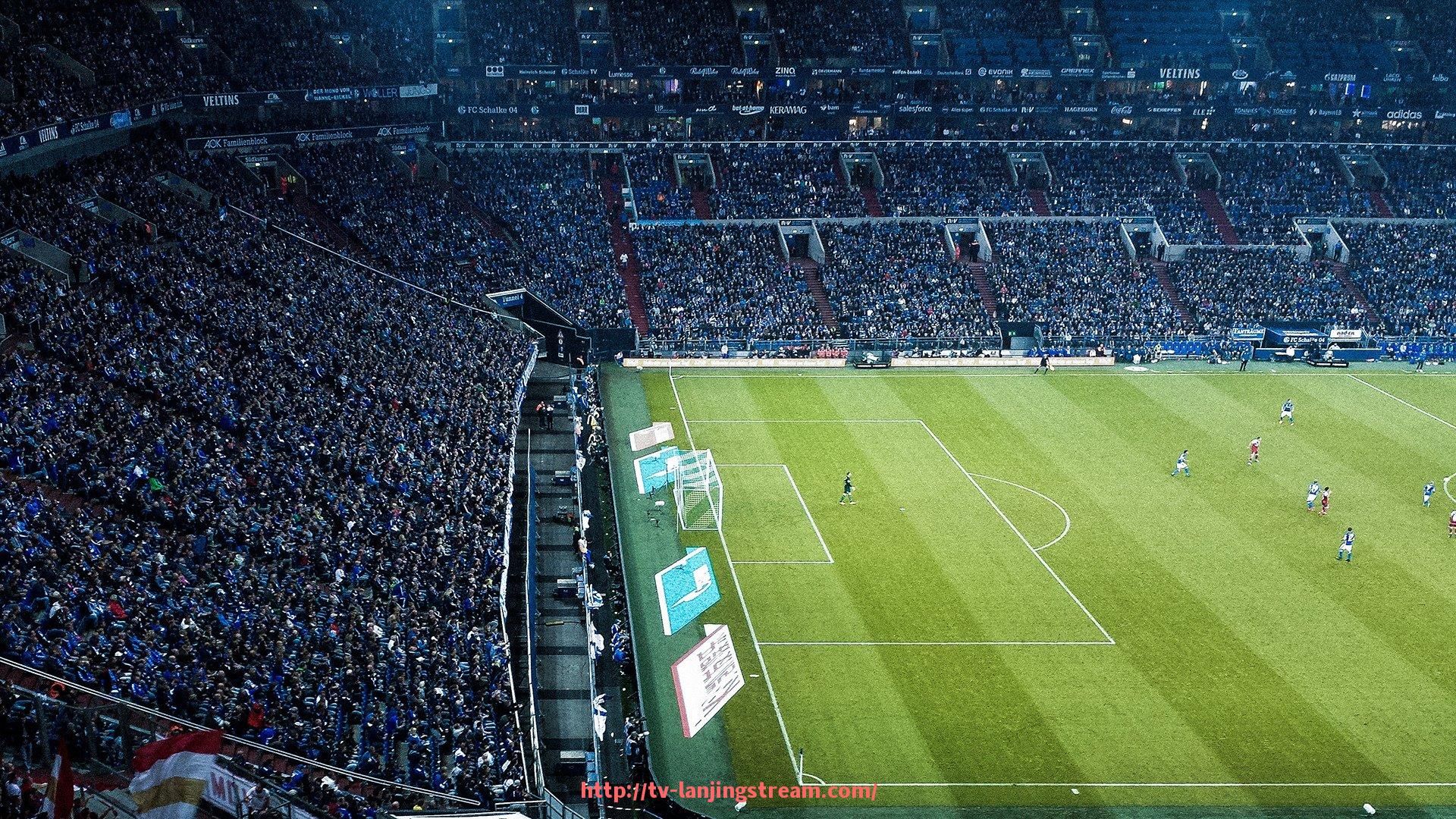 蓝鲸体育直播-德州庄威健身器材：德州庄威公司健身器材产品介绍